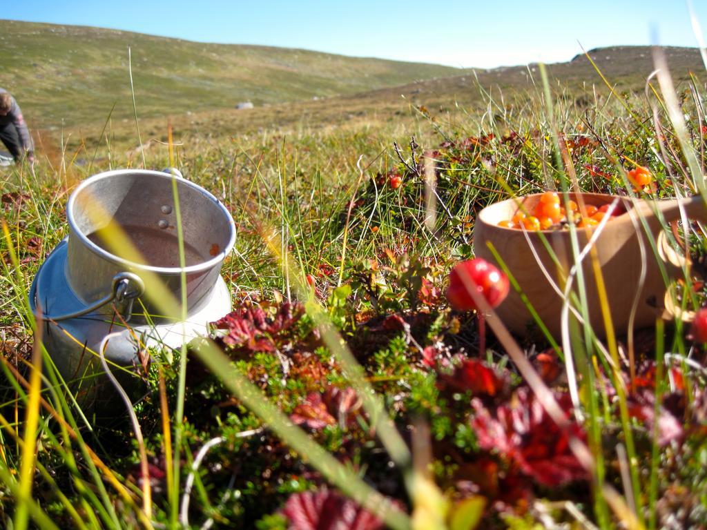 Norefjell - Storhytte Med Jacuzzi Og Fantastisk Beliggenhet Noresund Dış mekan fotoğraf