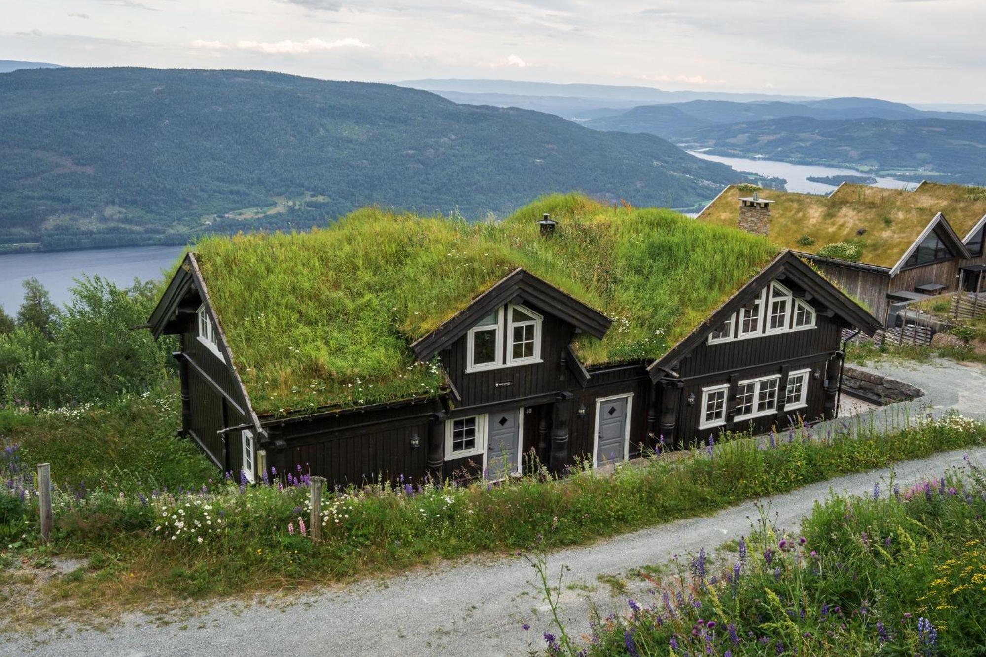 Norefjell - Storhytte Med Jacuzzi Og Fantastisk Beliggenhet Noresund Dış mekan fotoğraf