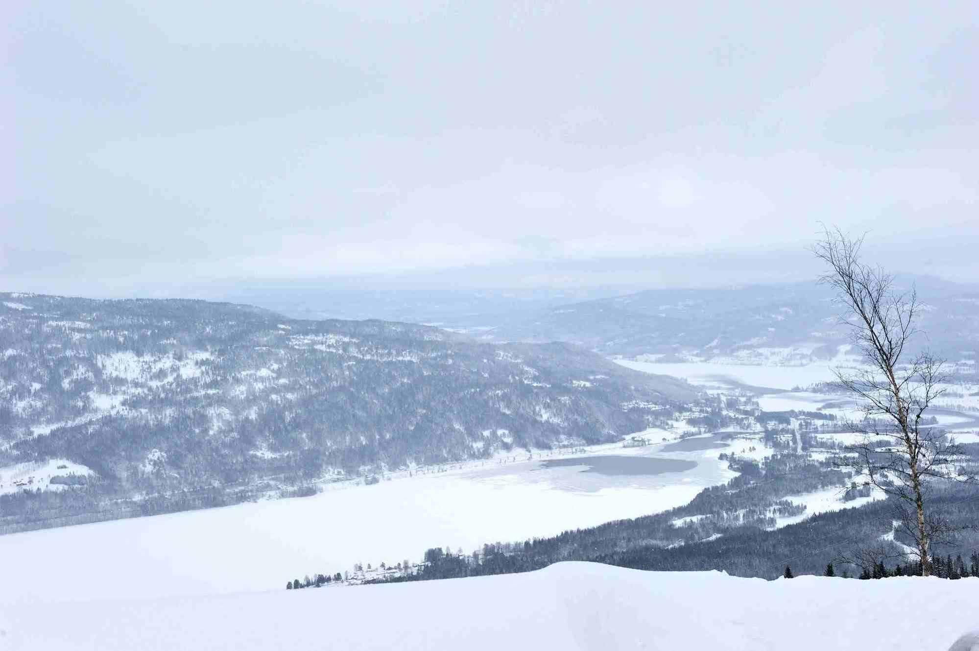 Norefjell - Storhytte Med Jacuzzi Og Fantastisk Beliggenhet Noresund Dış mekan fotoğraf