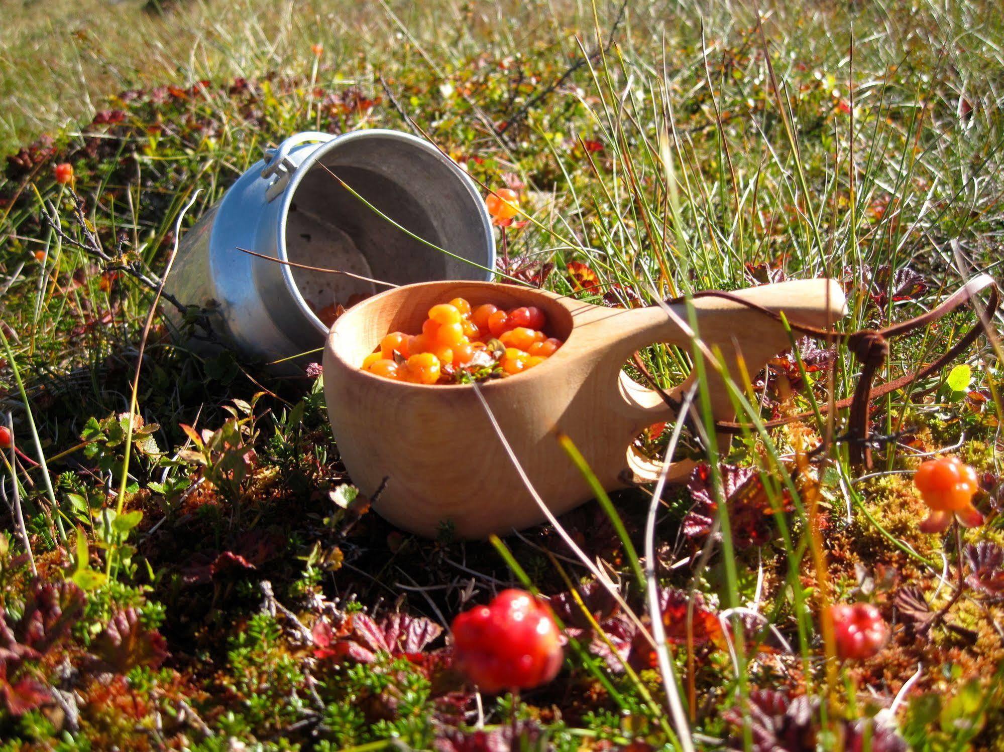 Norefjell - Storhytte Med Jacuzzi Og Fantastisk Beliggenhet Noresund Dış mekan fotoğraf